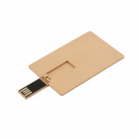 USB Personalizat tip Credit Card Fairbanks CM-1260