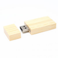 USB Personalizat Manilla C-DR1