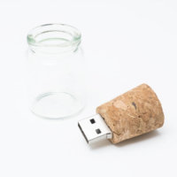 USB Personalizat St. Louis CM-1206