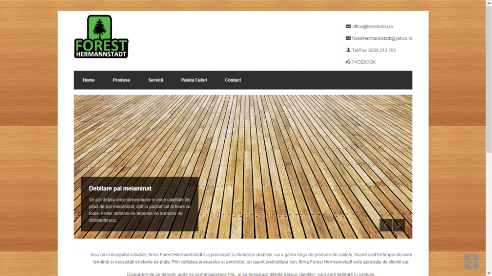 Website 06